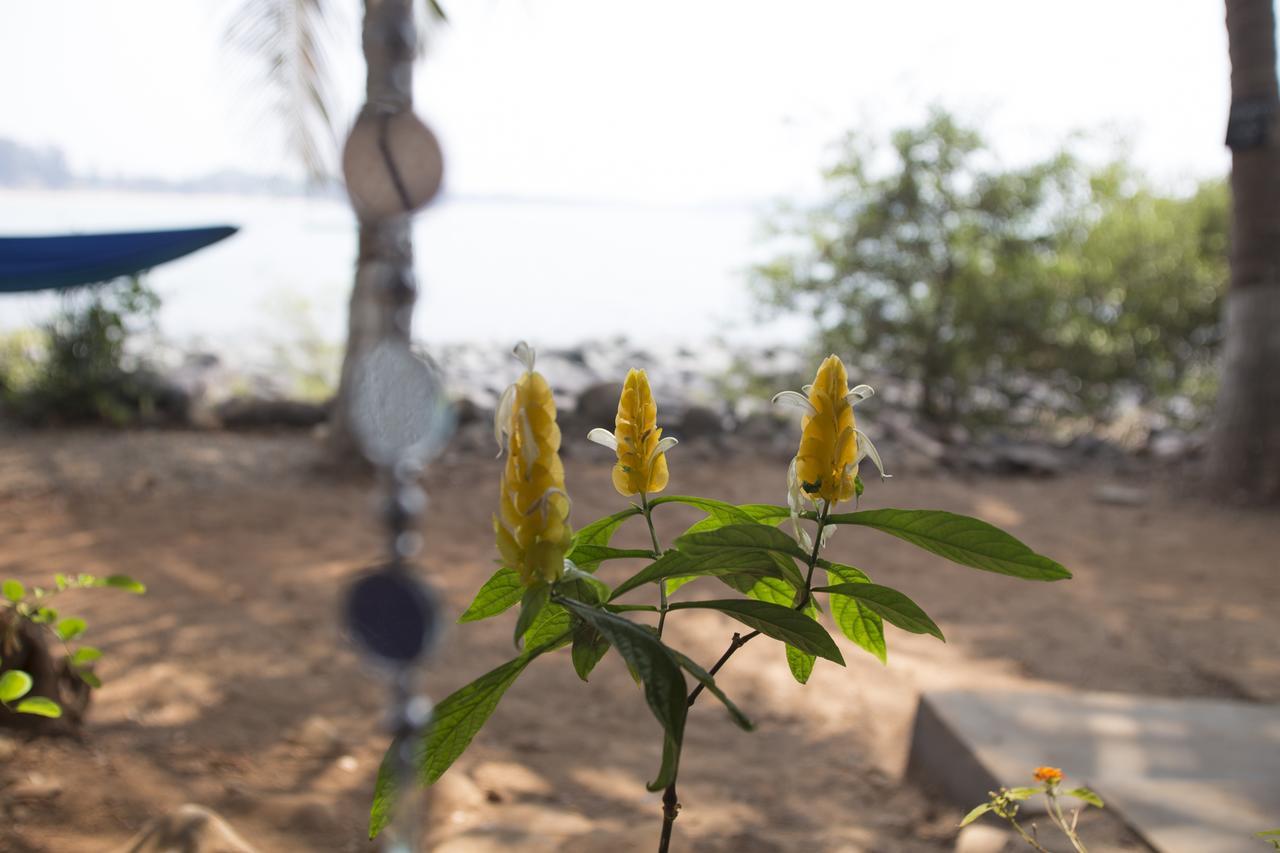 Kala Bahia Hotell Patnem Beach Eksteriør bilde